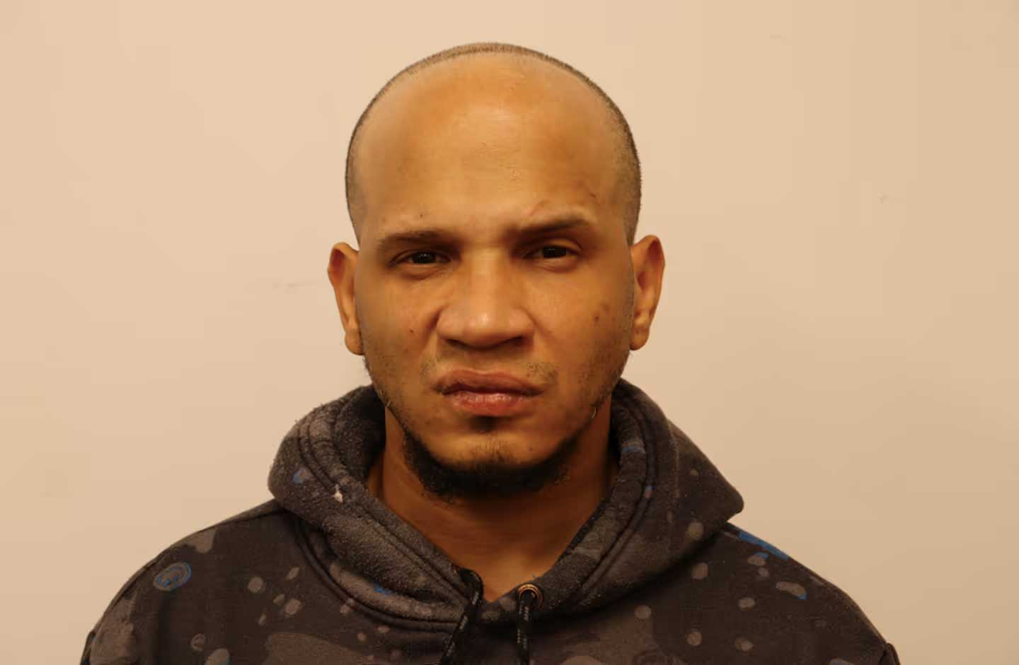 Ariel Sandoval-Paulino