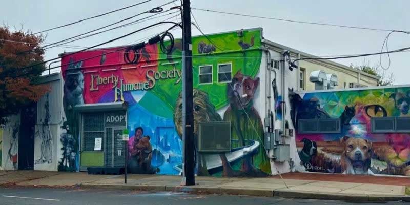 Jersey City Animal Care and Control Recognized as No-Kill Shelter